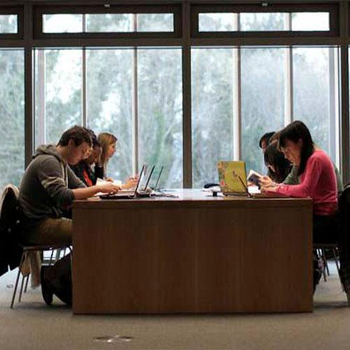 Maynooth University