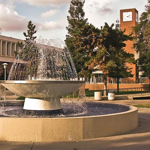 California State University