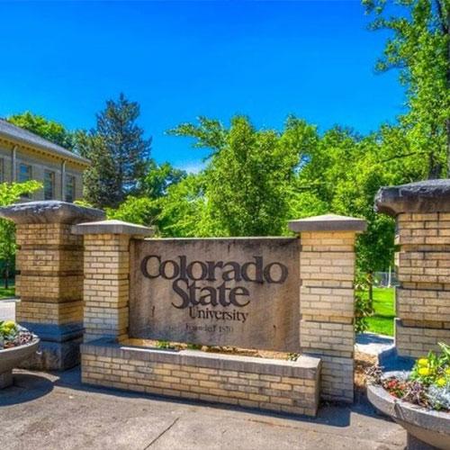 Colorado State University